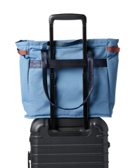 Mente 22L Tote